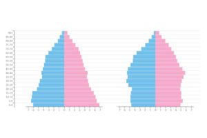 piramide de poblacion